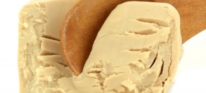 Как отрастить волосы за 2 месяца: маски для волос с дрожжами и горчицей